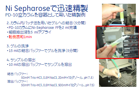 Ni Sepharose™での精製例2